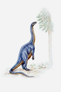 Ilustracija Illustration of a Plateosaurus reaching for, Dorling Kindersley