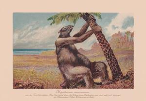 Ilustracija Megatherium americanum, extinct giant ground sloth,, ZU_09