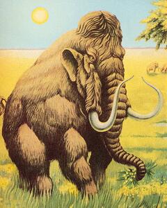 Ilustracija Woolly Mammoth, CSA Images