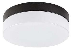 Rabalux 75025-LED Stropna svjetiljka za kupaonicu GAELO LED/15W/230V pr. 23 cm crna