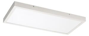Rabalux 71077 - LED Nadgradni panel DAMEK LED/24W/230V 4000K 60x30 cm