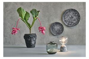 Crna cementna posuda za cvijeće Villa Collection Calbe, visina 22 cm