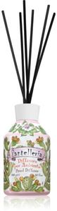 Rudy - Le Maioliche Pantelleria aroma difuzer s punjenjem 250 ml