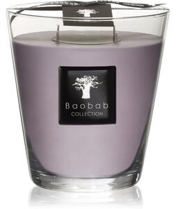 Baobab Collection All Seasons White Rhino mirisna svijeća 16 cm