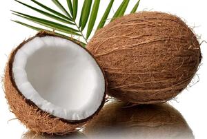 Madrac od kokosa COCO MAXI 19 cm 90 x 200 cm Zaštita madraca: BEZ zaštite madraca