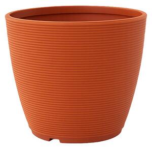Vaza Ring (Outlet)