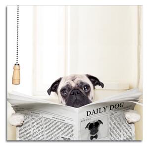 Zidni ukras Daily Dog
