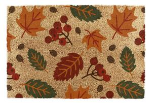 Otirač od kokosovih vlakana 40x60 cm Autumn Leaves – Artsy Doormats