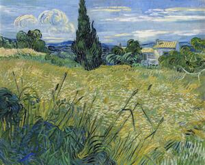 Reprodukcija Green Wheat Field with Cypress (1889), Vincent van Gogh