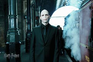 Ilustracija Voldemort, (40 x 26.7 cm)