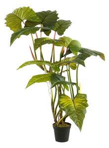 Umjetna Colocasia 175 cm - 151 - 180 cm