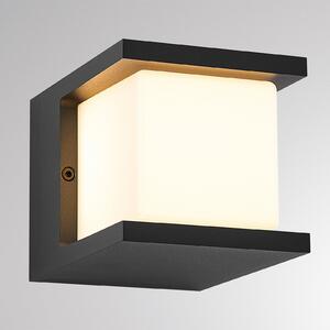 Molto Luce Vanjska LED zidna svjetiljka FYNN-U, antracit, 12 cm, IP65, CCT, Crno, Aluminij