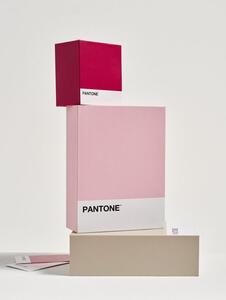 Sinsay - Kutija za pohranu Pantone