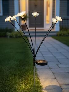 Sinsay - Solarna LED lampa u obliku cvijeta