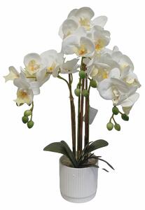Umjetna orhideja bijela 52 cm Eterna - Bijela - 51 - 70 cm