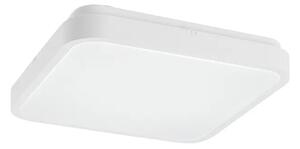 Alenzo LED PANEL LED 24W/BIJELA/IP44/1600lm RA71422