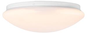 Moderna stropna svjetiljka bijela 26 cm s uključenom LED - Iene