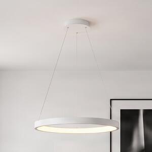 Arcchio Albiona LED viseća svjetiljka, bijela, 1 prsten, Ø 60 cm, prigušiva, Bijela, Kuhinja, Metal