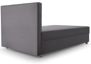 Zondo Jednostruki krevet 120 cm Picasso II (siva) (s prostorom za odlaganje i madracem) . 1071512