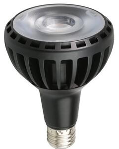LED ŽARULJA E27 PAR30 30W RA80 - Toplo bijela