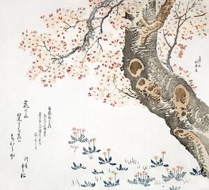 Reprodukcija Cherry tree (1822), Katsushika Hokusai