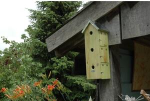 Drvena kućica za ptice Triple – Esschert Design