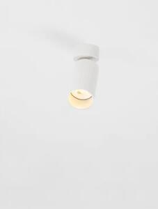 ZELOS STROPNI REFLEKTOR 1X10W GU10 IP20 BIJELA NL9011600