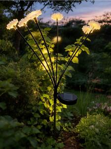 Sinsay - Solarna LED lampa u obliku cvijeta