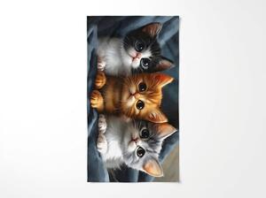 Brzosušeći plažni ručnik CATTINO šareni 70 x 140 cm, 100% mikrovlakana