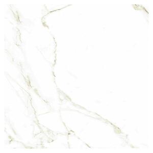 Halcón Podna pločica Naos Gold Mate Satinado (60,5 x 60,5 cm, Bijela, Mat)