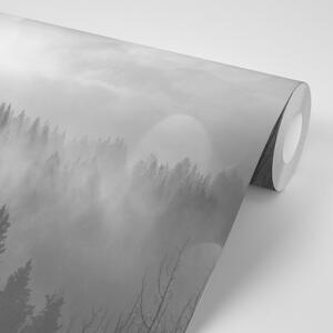 Samoljepljiva fototapeta crno-bijela magla iznad šume