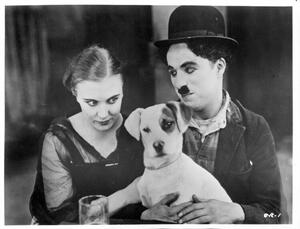 Fotografija Charles Chaplin In 'A Dog's Life', Archive Photos