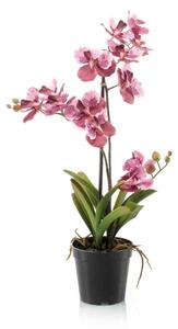 Umjetna orhideja Vanessa 70 mix pink - Roza - 51 - 70 cm