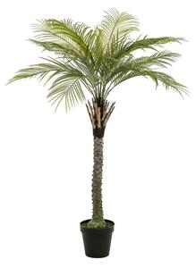 Umjetna palma 260 - 231 - 260 cm