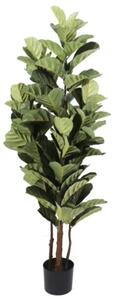 Umjetna smokva Lyrata 150 cm UV - 121 - 150 cm