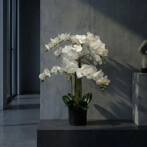 Umjetna orhideja bijela 80 cm Lia real touch - Bijela - 71 - 90 cm
