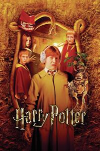 Ilustracija Harry Potter -The Weasleys