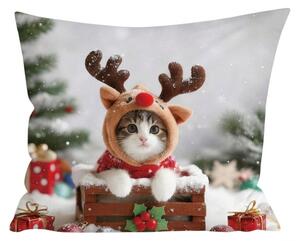 3D jastučnica od mikrovlakana RUDOLPH KITTEN 45x45 cm, šarena