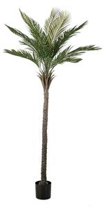 Umjetna palma 210 cm UV - 201 - 230 cm