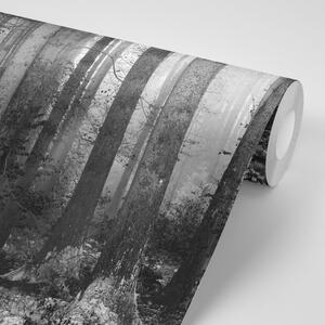 Fototapeta crno-bijeli tajna šume