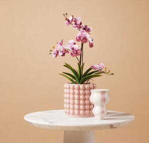 Umjetna orhideja Vanessa 70 mix pink - Roza - 51 - 70 cm