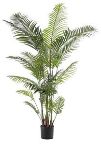 Umjetna palma Florida 200 - 181 - 200 cm