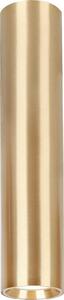 Reflektorska svjetiljka GENESIS 1xGU10/8W/230V 30 cm zlatna