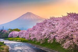 Fototapeta prekrasni Japan