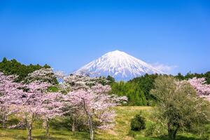 Fototapeta vulkan Fuji