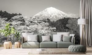 Fototapeta planina Fuji u crno-bijelom