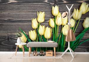 Fototapeta žuti tulipani na drvenoj podlozi