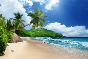 Fototapeta prekrasna plaža na otoku Šejšeli