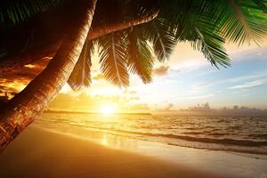 Fototapeta izlazak sunca na karipskoj plaži