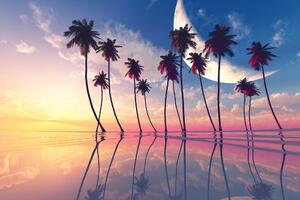 Tapeta zalazak sunca iznad tropskih palmi